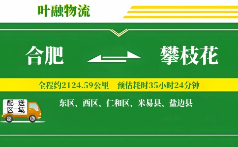 合肥到攀枝花物流公司